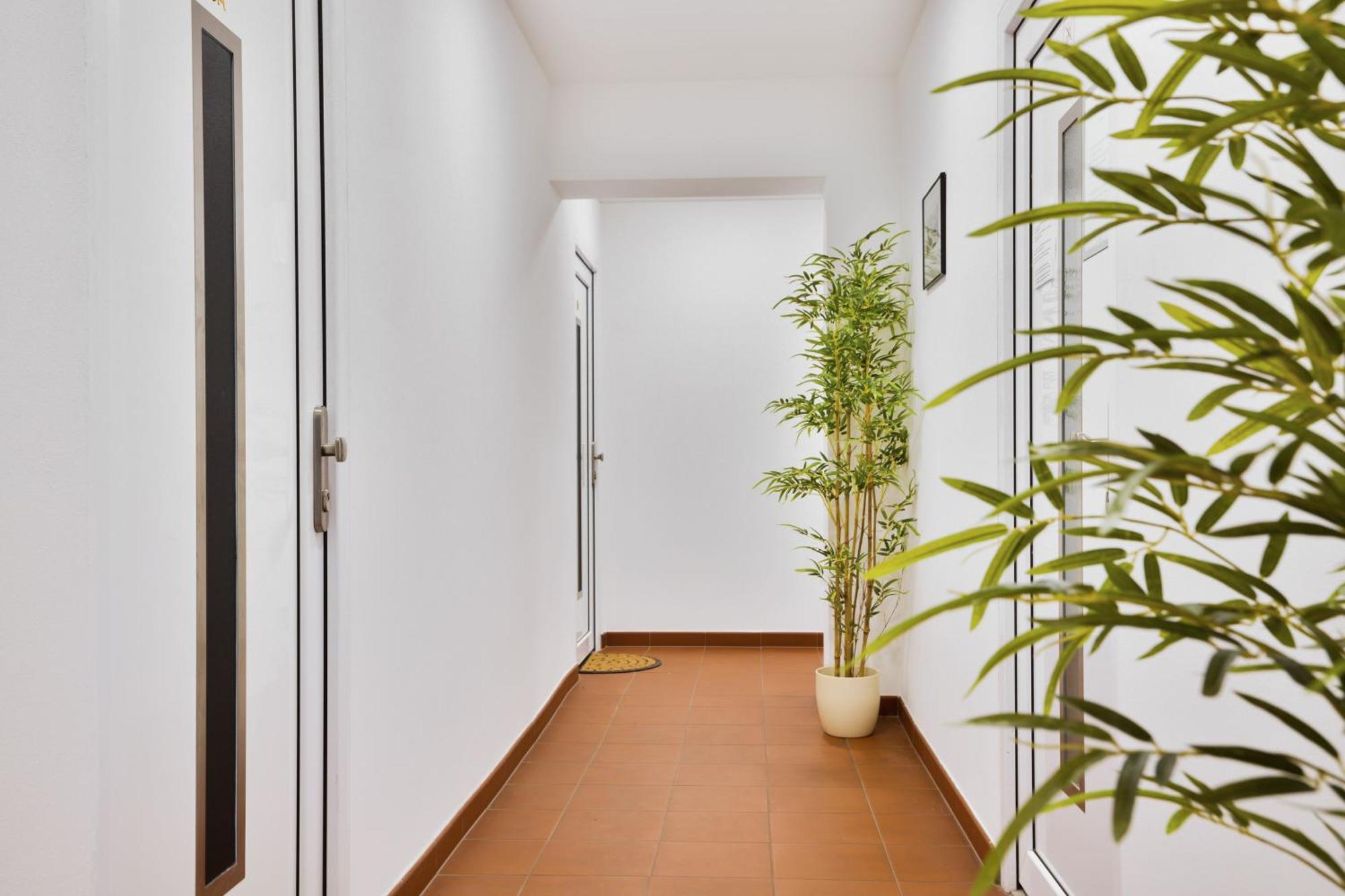 Apartmany ジェチーン エクステリア 写真
